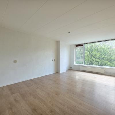 Reigerstraat Alblasserdam